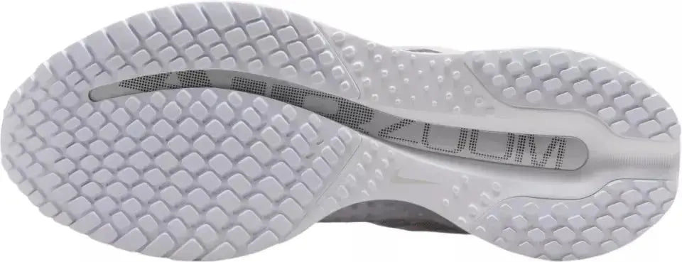 Pegasus Premium Blanc Nike