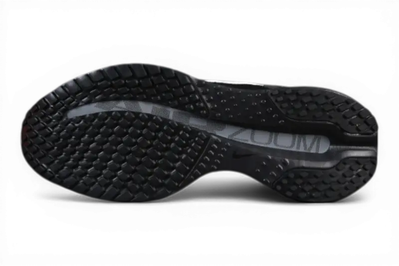 Pegasus Premium SP Black and White Metallic Silver Nike