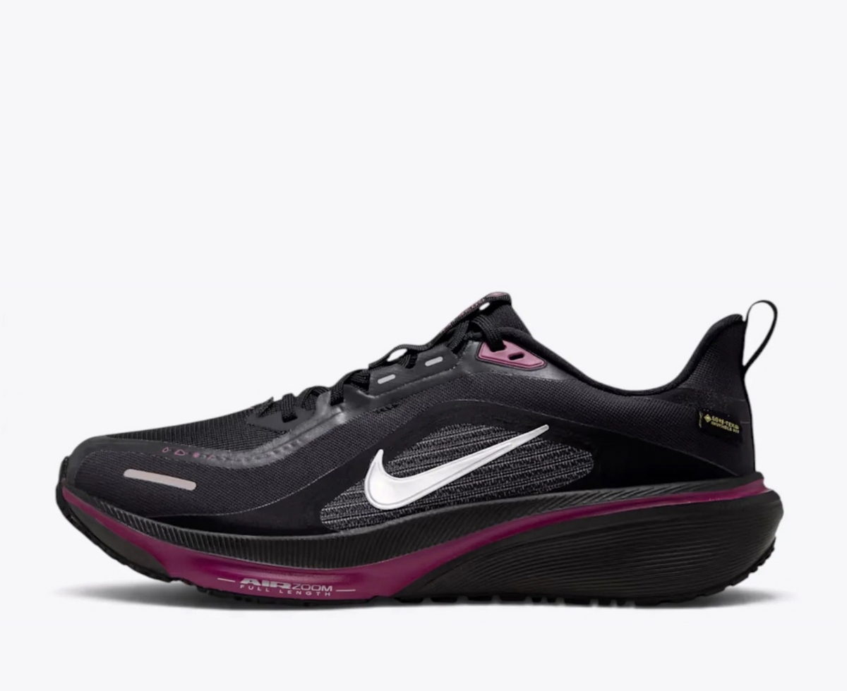 Nike Pegasus 42 GORE-TEX Black Viotech