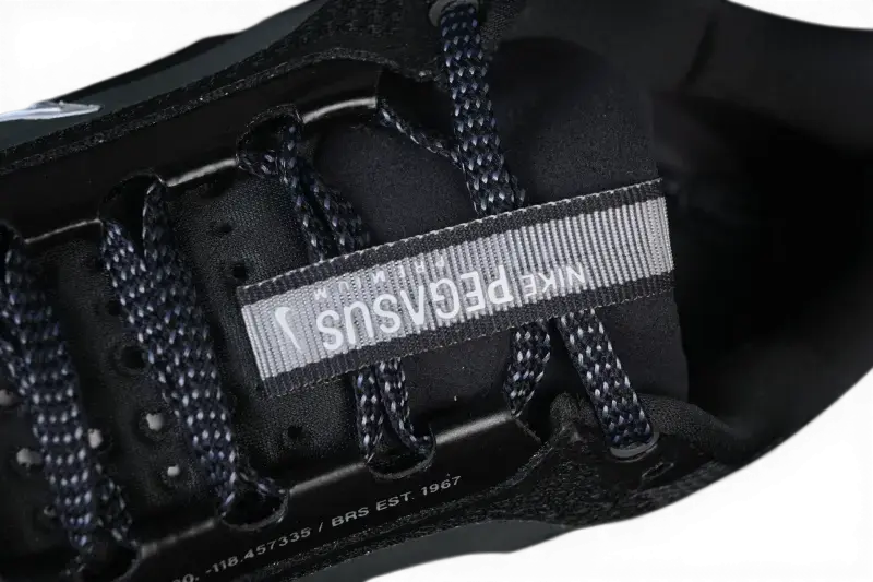 Pegasus Premium Anthracite Nike