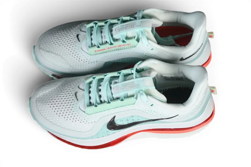 Nike Pegasus Premium Barely Green Nike