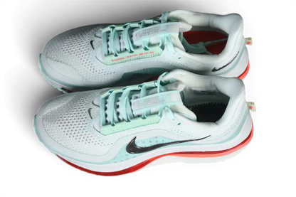 Nike Pegasus Premium Barely Green Nike