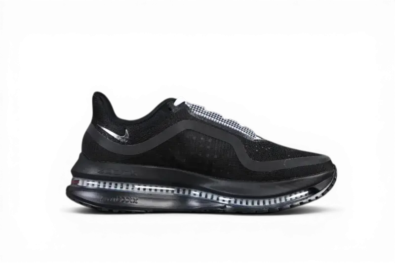 Pegasus Premium SP Black and White Metallic Silver Nike