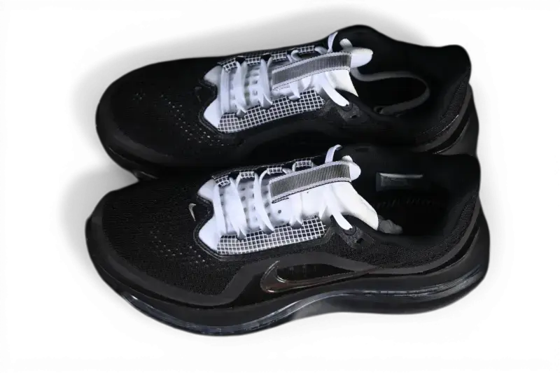 Pegasus Premium SP Black and White Metallic Silver Nike