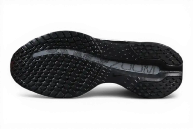 Pegasus Premium SP Black and White Metallic Silver Nike