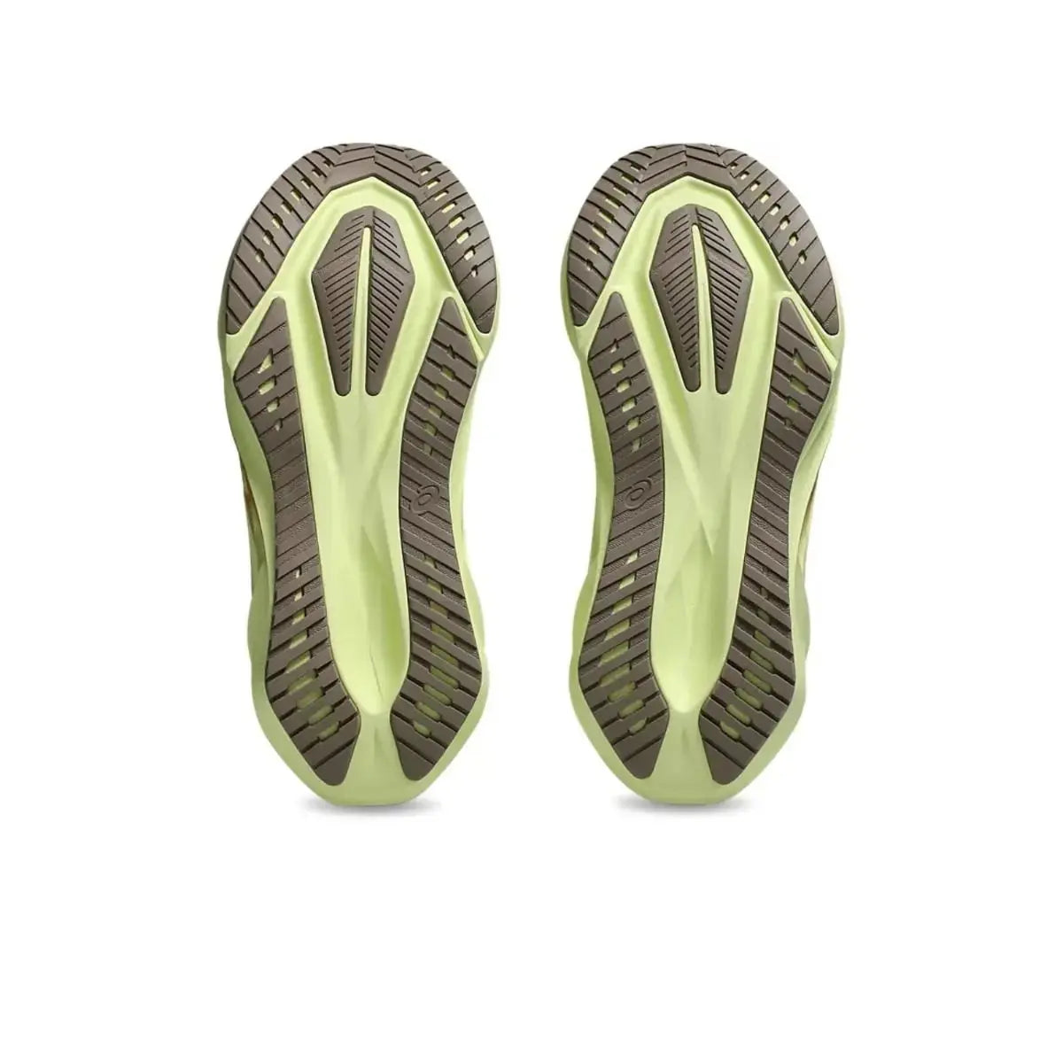 Novablast™ 5 Beige Asics