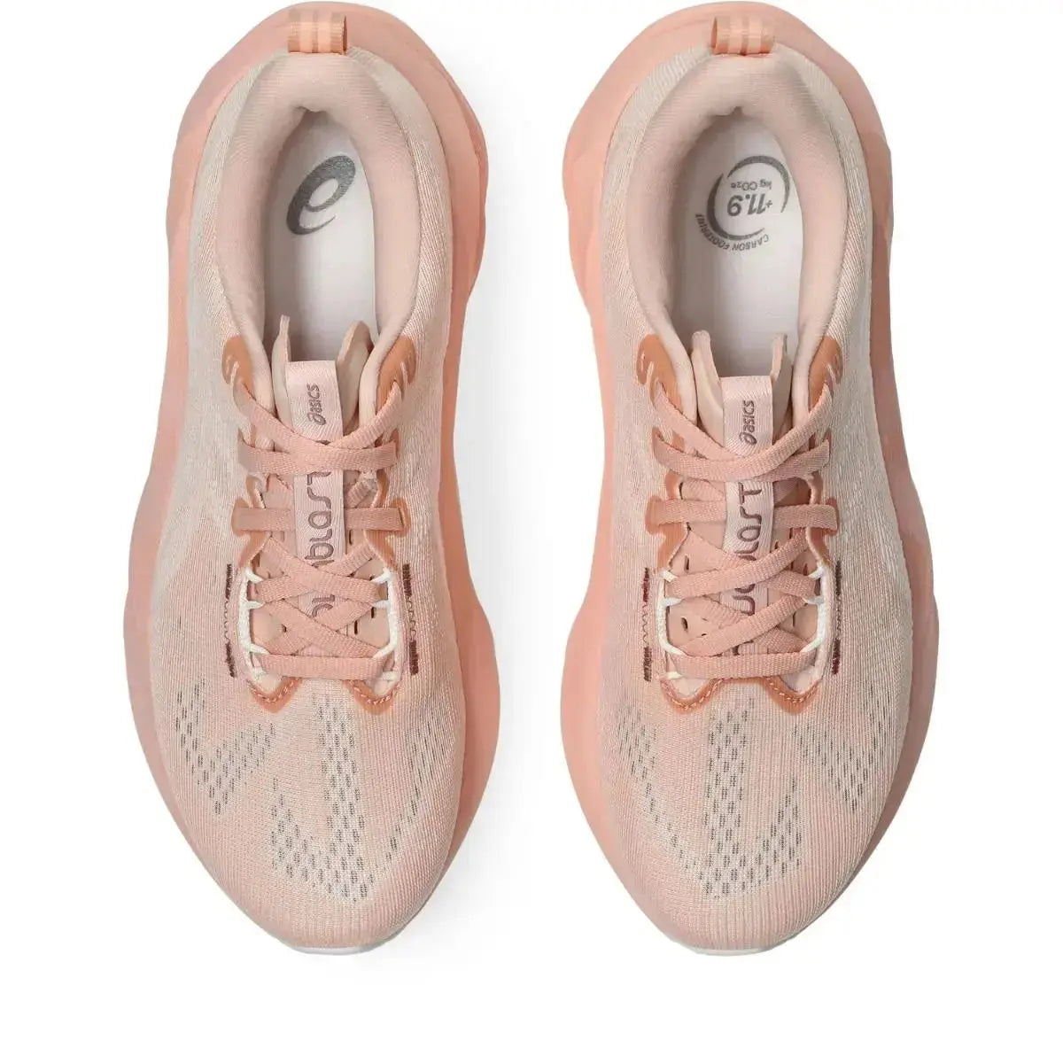 Novablast™ 5 Rose Asics