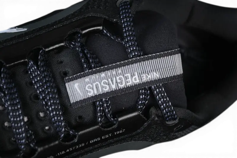 Pegasus Premium Anthracite Nike