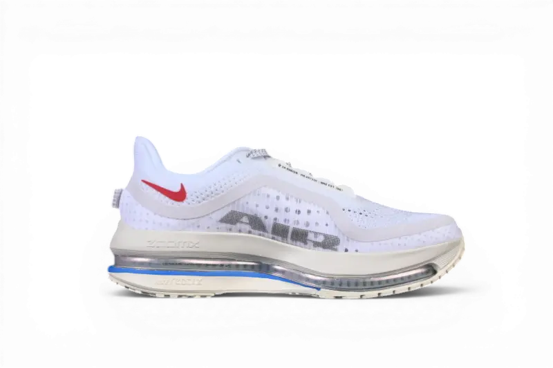 Nike Pegasus Premium Premium Forrest Gump Nike