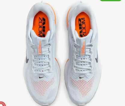 Pegasus Premium Gris orange Nike