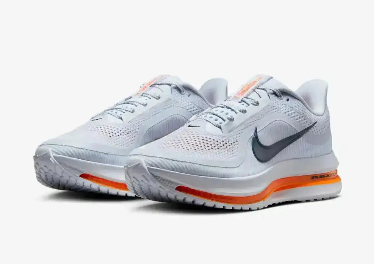 Pegasus Premium Gris orange Nike