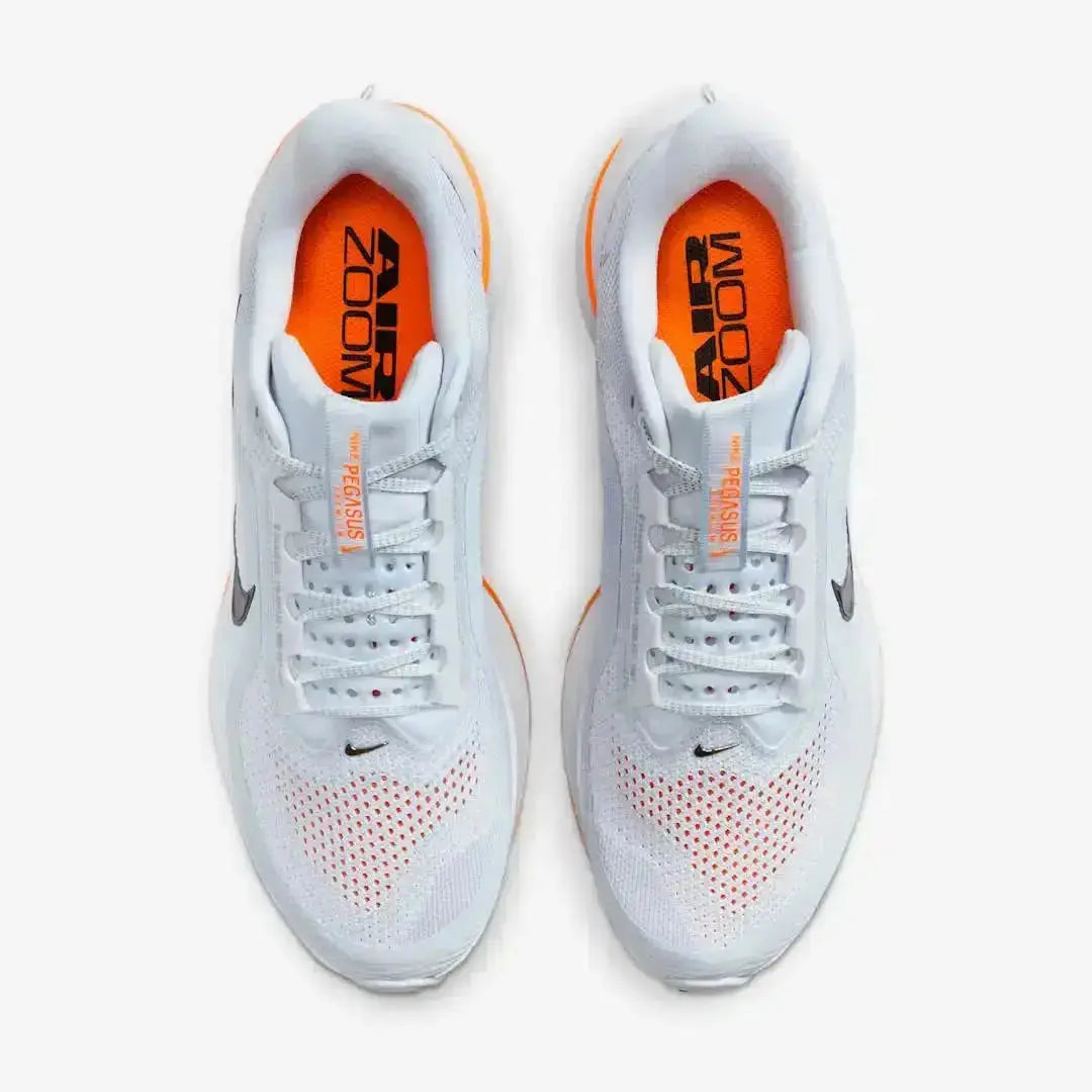 Pegasus Premium Gris orange Nike