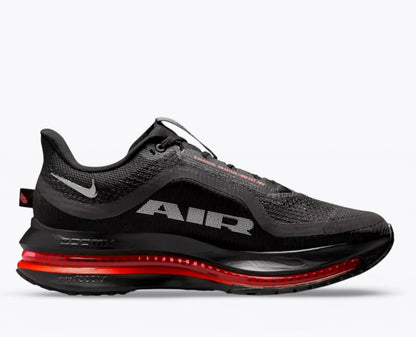 Pegasus Premium Noire Nike