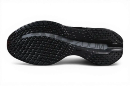 Pegasus Premium SP Black and White Metallic Silver Nike