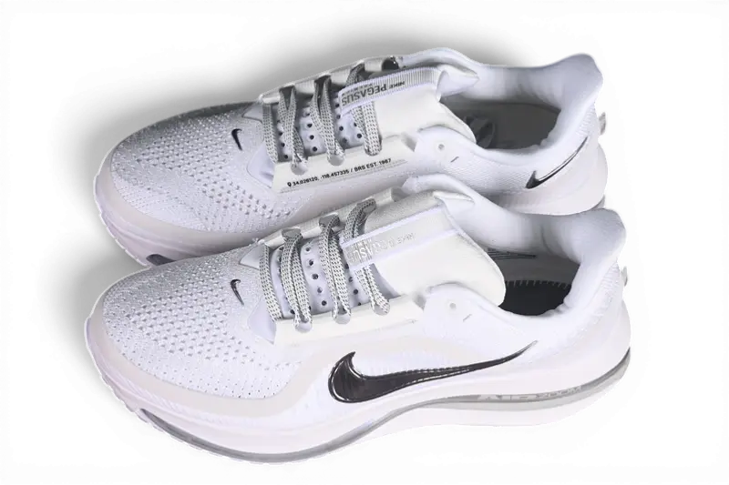 Pegasus Premium White Metallic Silver Nike