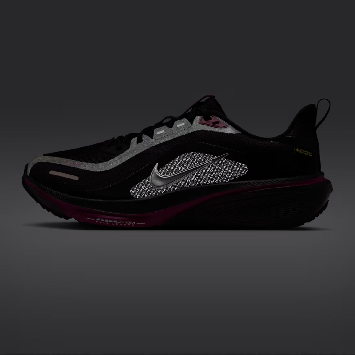 Nike Pegasus 42 GORE-TEX Black Viotech